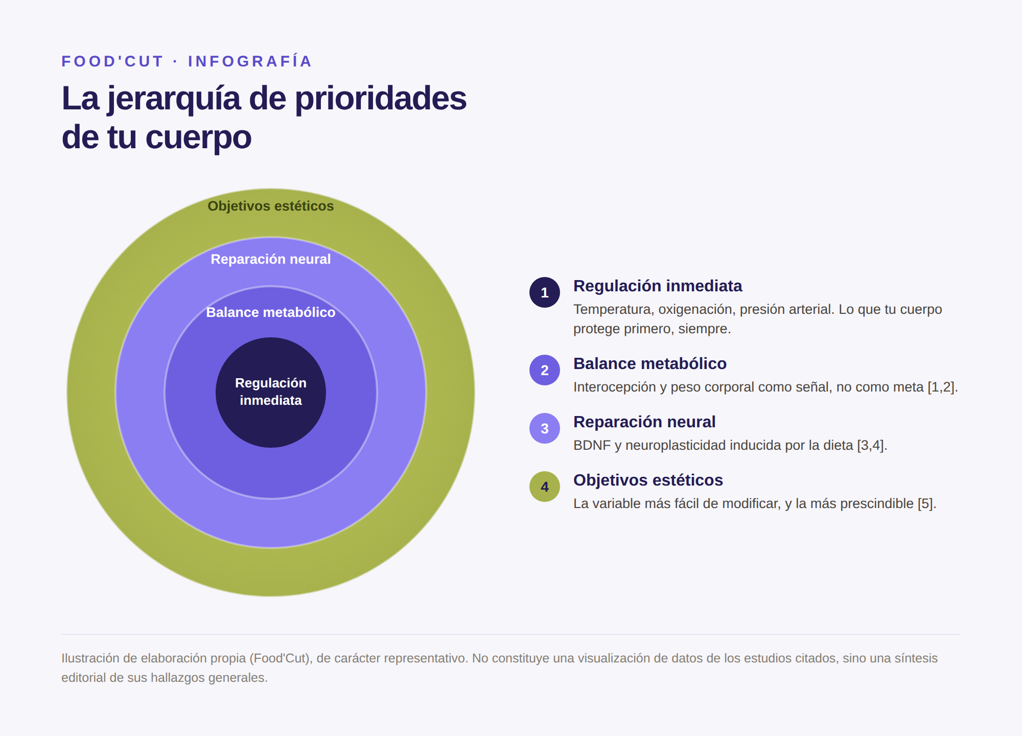 homeostasis-jerarquia-2.png