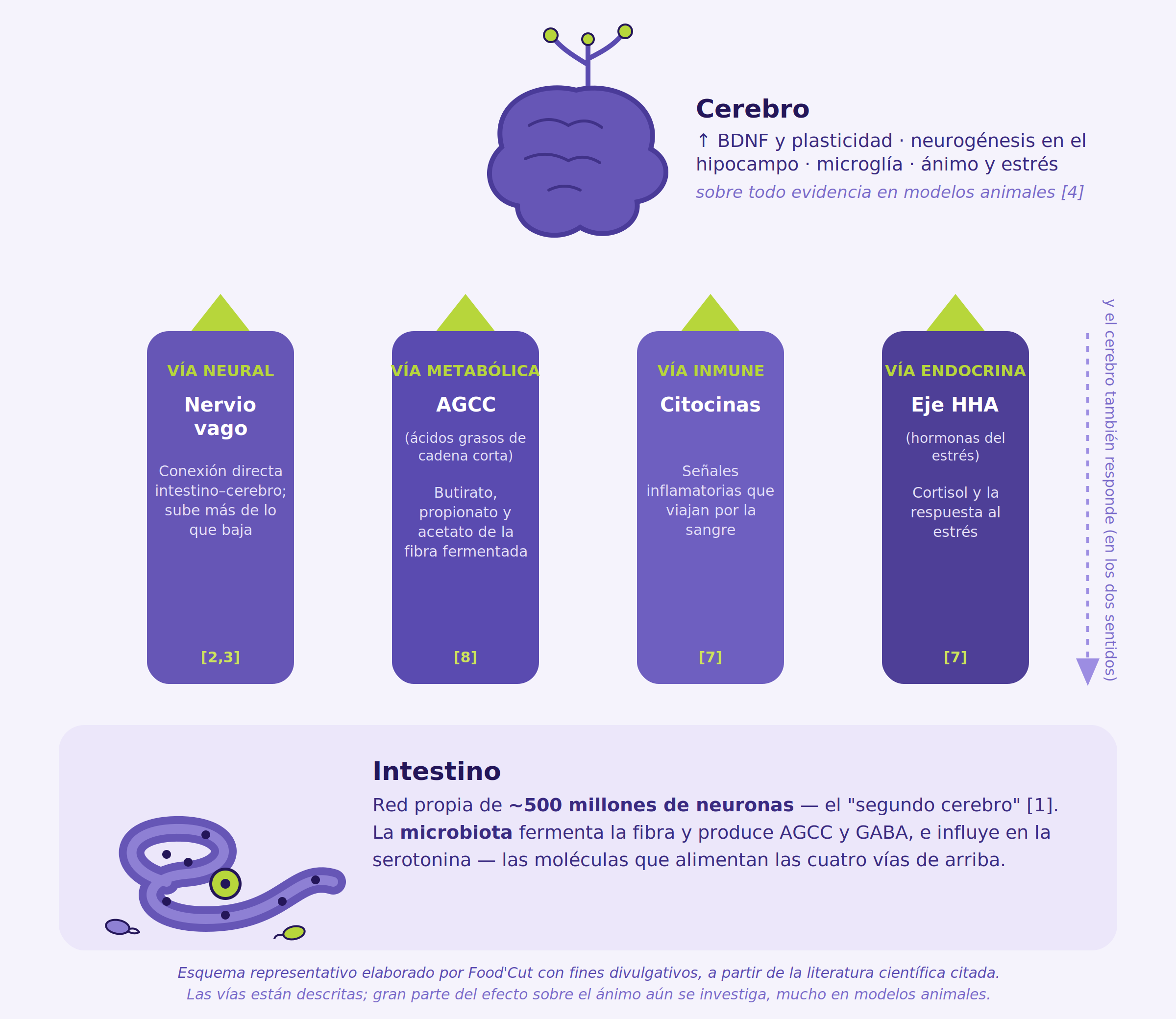 inline-mecanismo-solido-2.png