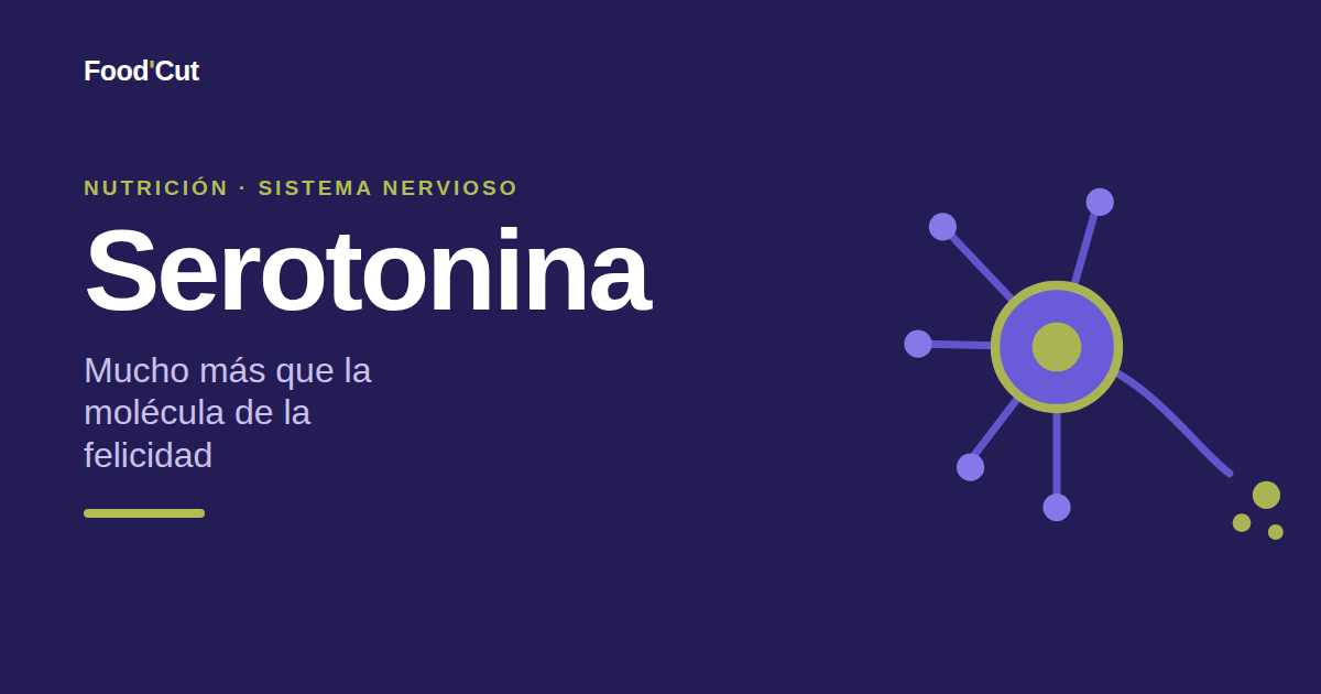 Serotonina: ¿solo el neurotransmisor de tu estabilidad emocional?